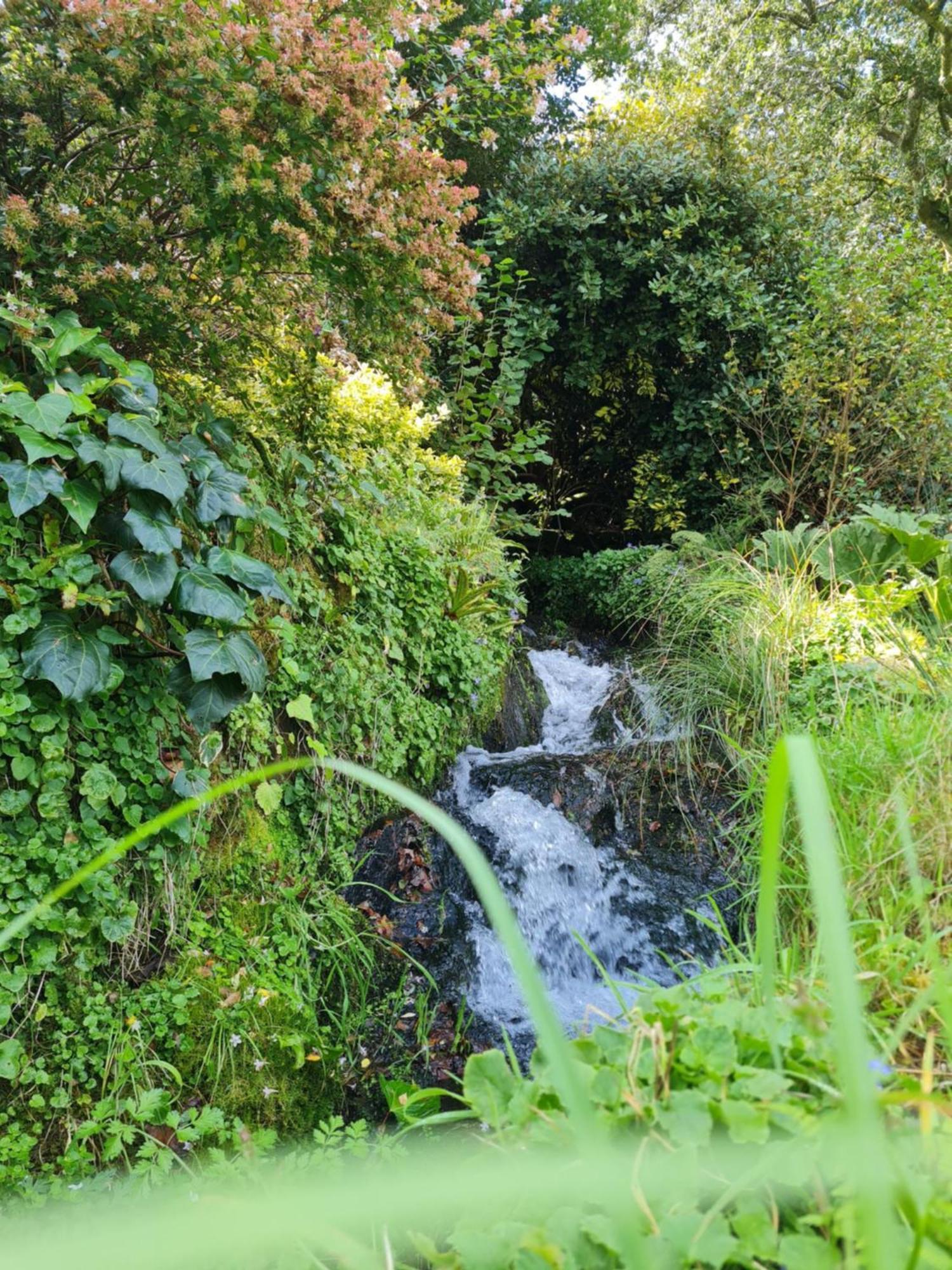Moulin De Bonnescat Plogonnec Exterior foto